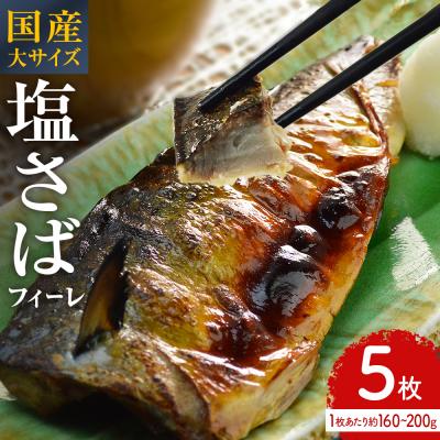 ふるさと納税 石巻市 国産 塩さば フィーレ 約160〜200g 5枚 サバフィレ 鯖 サバ さば フィレ 切り身 塩サバ