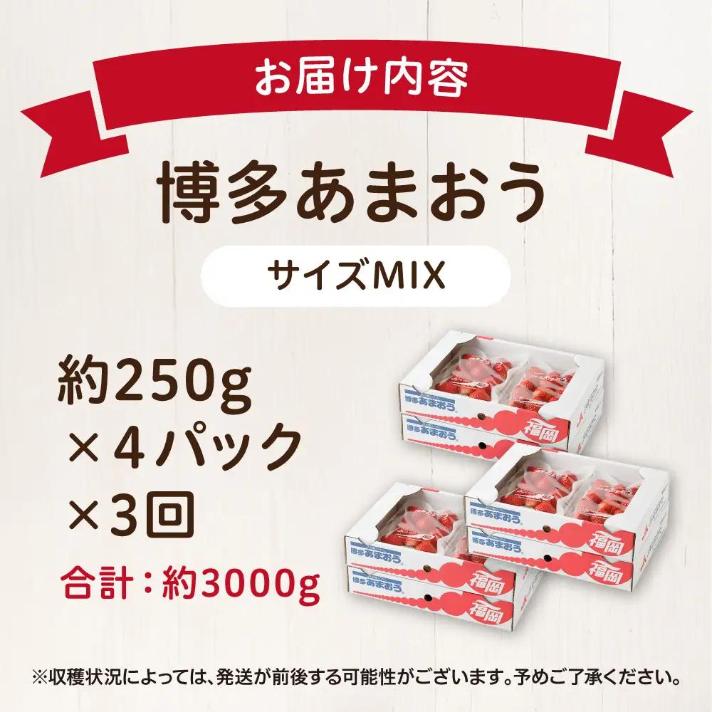 【定期便／3ヶ月連続お届け】大人気のあまおう 250g×4パック 計3回 総量3.0kg 3ヶ月定期便 福岡県産いちご【JAほたるの里】_HB0032