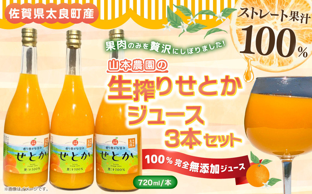 
            山本農園の生搾りせとか　３本セット 飲料 オレンジジュース ジュース 生搾り みかん 蜜柑 ミカン おれんじ オレンジ フルーツ 果物 くだもの ジューシー 柑橘  国産 完熟 ジューシー プレゼント 贈り物 ギフト 3本 セット 佐賀県 太良町 NC13 
          