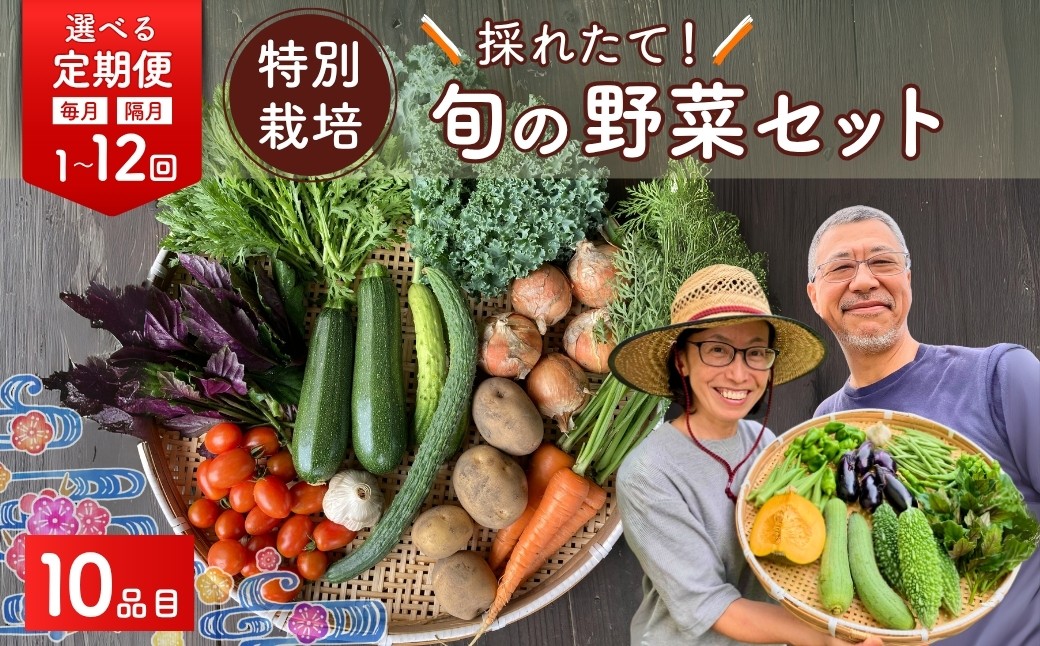 
                  野菜 旬の野菜セット 10品目 特別栽培 選べる定期  | 野菜 やさい 採れたて 生野菜 おまかせ 詰め合わせ 新鮮 旬 季節 春野菜 夏野菜 秋野菜 葉物 根菜 季節限定 地元産 野菜 農業 農家 食育 お取り寄せ 埼玉県 久喜市 たかしま農園
                