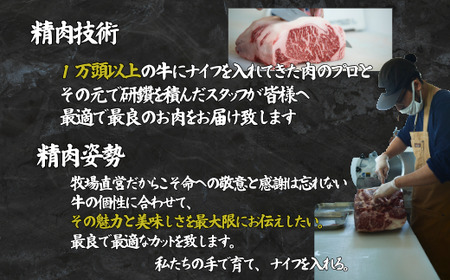 【牧場直送】佐賀産牛柔らかハンバーグ 24個：B350-007