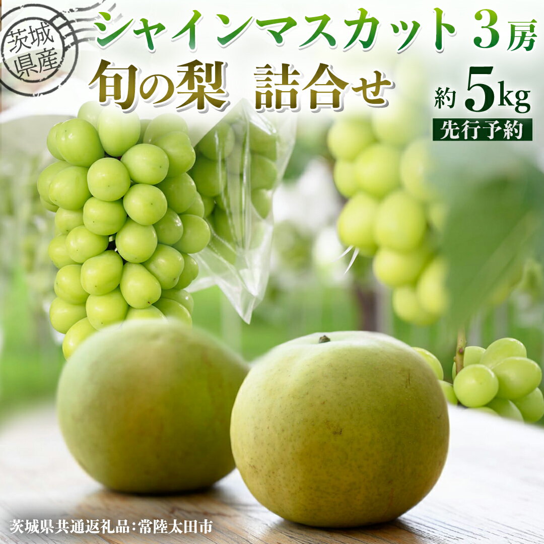 【ふるさと納税】【 先行予約 】茨城県産 シャインマスカット3房と旬の梨詰め合わせ 約 5kg ( 茨城県共通返礼品 : 常陸太田市 ) 【 2026年 9月中旬頃より発送 】 梨 ナシ なし 和梨 シャインマスカット フルーツ ぶどう 葡萄 ブドウ マスカット 果物 期間限定 数量限定