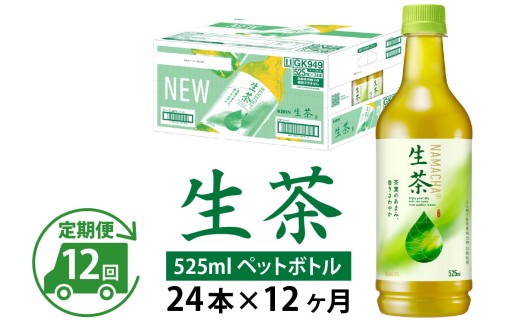 【定期便12回】キリン 生茶 525ml × 24本 × 12ヶ月