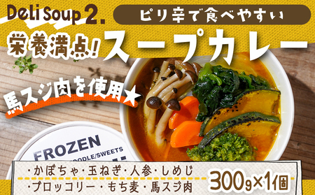レンジで温めるだけ!ゴロゴロ野菜のスープ&おにぎり3種セット_AA-F705_(都城市) スープカレー ゆず塩鶏団子スープ ユッケジャンスープ 玄米おにぎり 十六穀おにぎり もち麦おにぎり