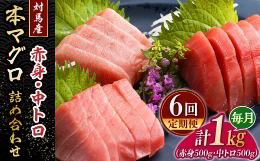 【全6回定期便】対馬産 本マグロ 1kg（赤身500g、中トロ500g） ≪対馬市≫【桐谷商店】 トロの華 対馬 新鮮 マグロ トロ 鮪 刺身 鮮度抜群 [WAQ053]