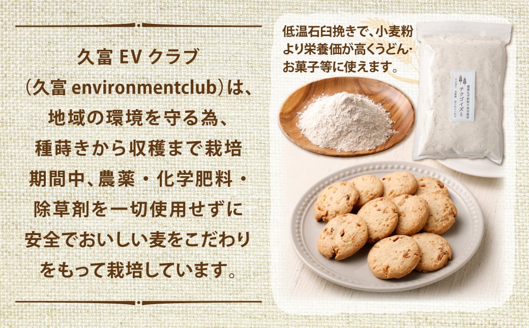 チクゴイズミ 全粒粉 ( 薄力粉 ) 1kg×4個 セット 合計4kg