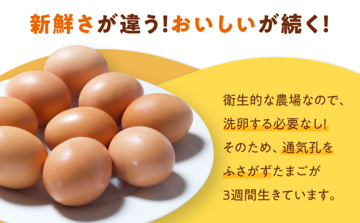 平飼い 海草たまご 3パック（30個入り）割れ保証あり 愛媛県大洲市/和田養鶏場 卵 たまご 鶏卵 卵料理 玉子 [AGDQ001]