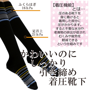 【フラワーレッグスシリーズ】着圧ソックス マルチボーダー柄 FW-HS03 5L-6L ネイビー【GFM243】