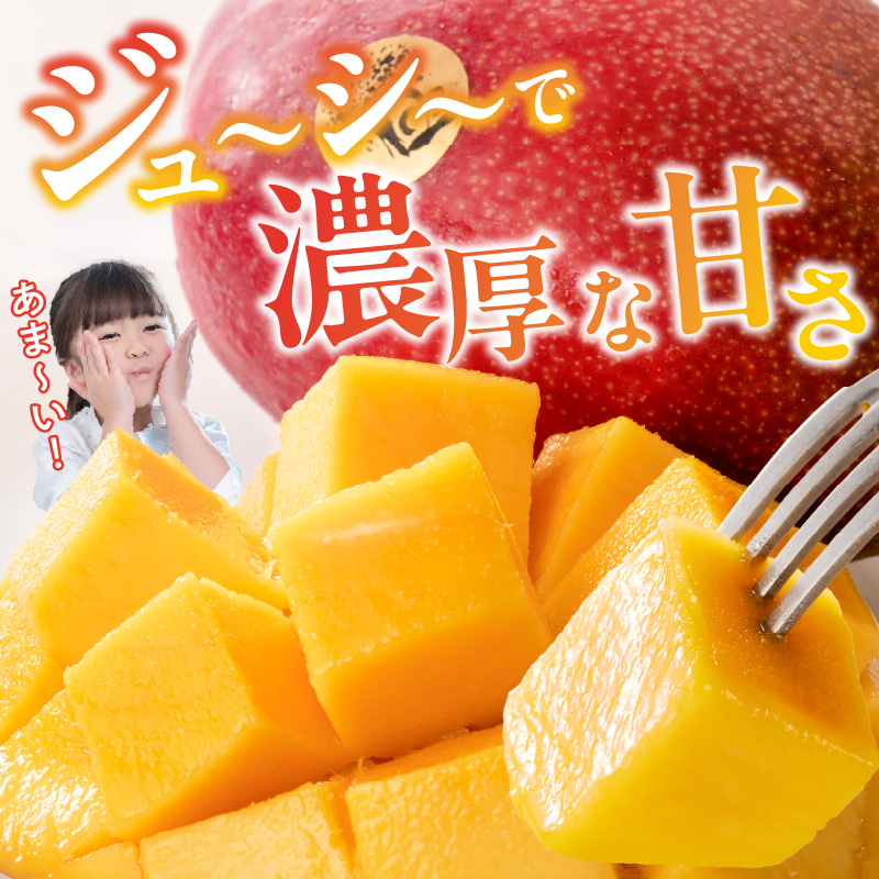 【2026年6月以降お届け】極　完熟マンゴー（3玉：約1.3kg）_完熟マンゴー 3玉 約 1.3kg 久留米産 平均糖度 17度～18度 完熟 マンゴー 国産 フルーツ トロピカルフルーツ 果物 デ