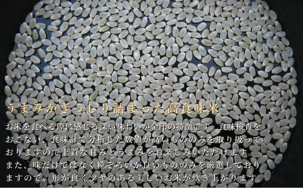 【6ヶ月定期便】令和7年産新米 魚沼産コシヒカリ「金印」高食味米 10kg×全6回127534-042