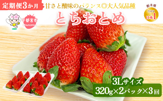
            【先行予約】＜いちご3か月定期便＞栃木県産とちおとめ320g×2パック 3Lサイズ 3回｜栃木県 宇都宮市 いちご 苺 とちおとめ イチゴ フルーツ 果物 新鮮 平積み 甘い 糖度 旬 産地直送 2026年1月 2月 3月 ※離島への配送不可 ※2026年1月中旬～4月中旬頃に順次発送予定
          