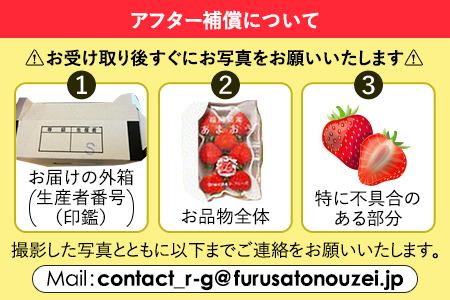 あまおう 約270g×2P 計540g 【7営業日以内発送】あまおう