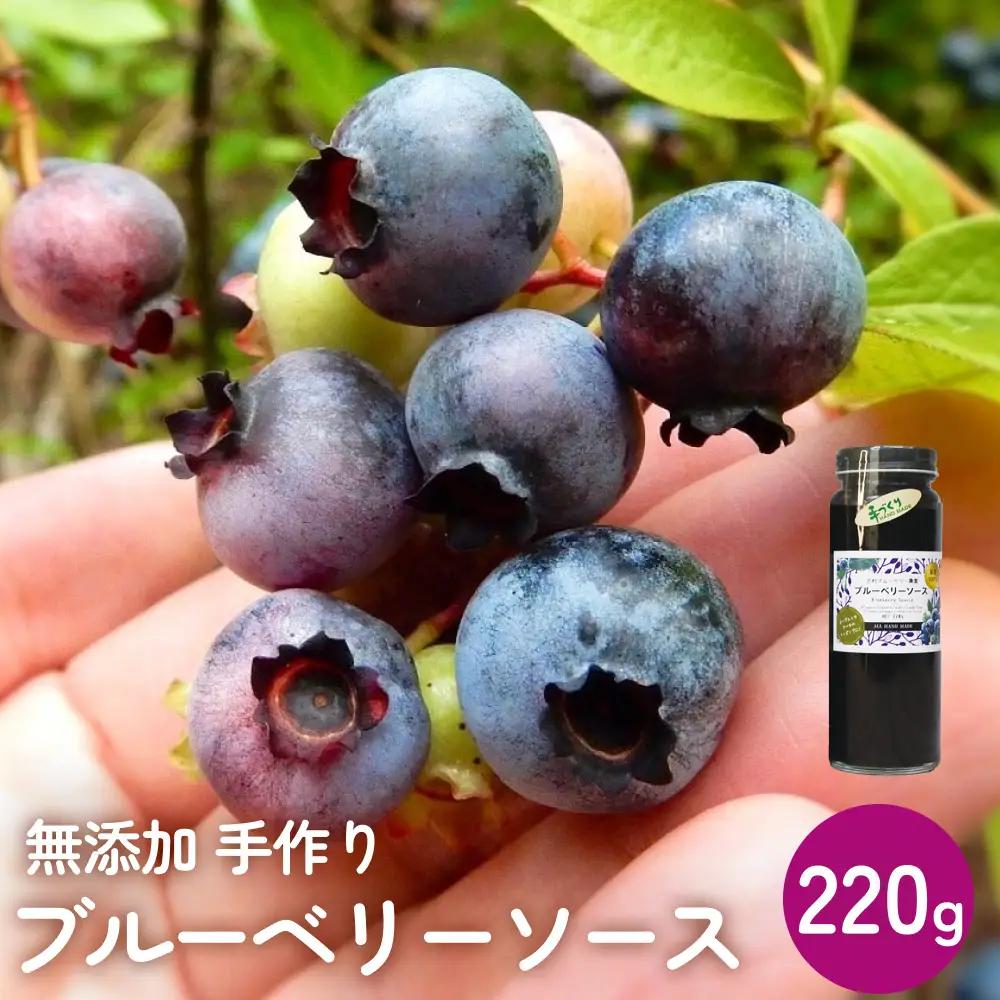 ＜ 先行予約 ＞ ブルーベリーソース 220g 無添加 手作り フルーツソース 果実 さっぱり