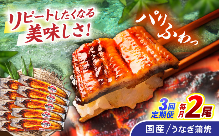 【3回定期便】【諫早淡水】うなぎ蒲焼2尾 / うなぎ ウナギ 鰻 国産うなぎ 国産鰻 蒲焼き 蒲焼 かばやき うな重 うな丼 / 諫早市 / 諫早淡水株式会社 [AHAT024]