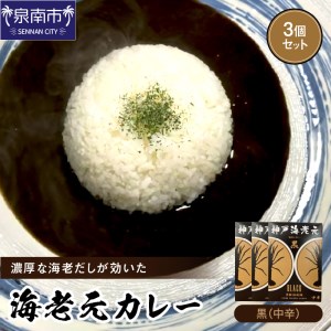 濃厚海老出汁 海老元カレー【黒】（中辛）3個セット（レトルト 常温 簡単調理 レトルト食品 レトルトカレー かれー カレーセット セット カレー 人気カレー 詰め合わせ 加工食品 お手軽 おすすめ 人気 泉南市 海老だし 濃厚海老だし）【078E-013】