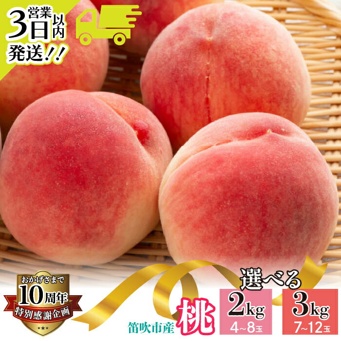 【ふるさと納税】★スピード発送 3営業日以内★＜25年発送＞ 山梨県 笛吹市産 朝獲り 新鮮 桃 【選べる容量】　※沖縄県・離島への発送不可となります。　※常温配送 126-001/006