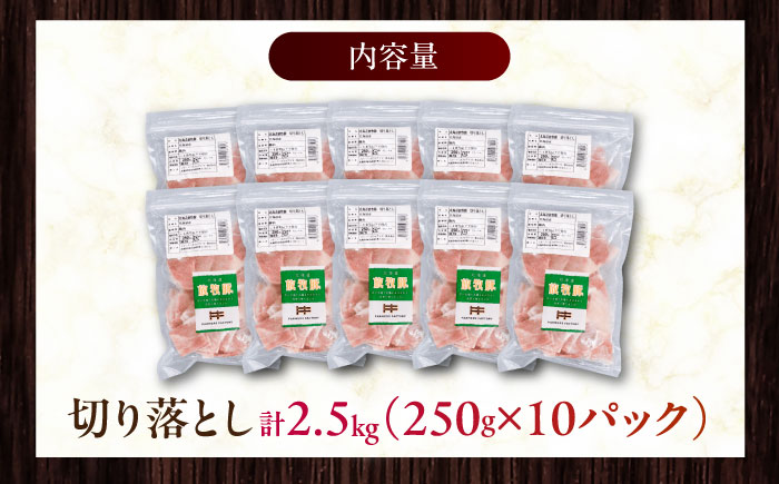 放牧豚 切落し 計2.5kg（250g×10）《厚真町》　【ファーマーズファクトリー株式会社】 [AXBA120]