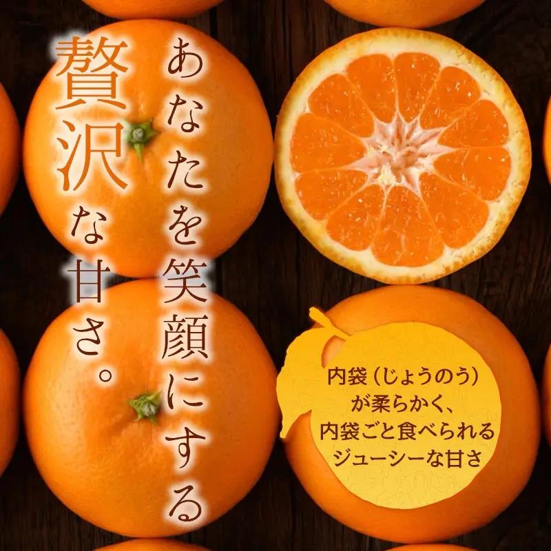 【先行予約】瀬戸の晴れ姫4kg みかん 愛媛みかん 今治市