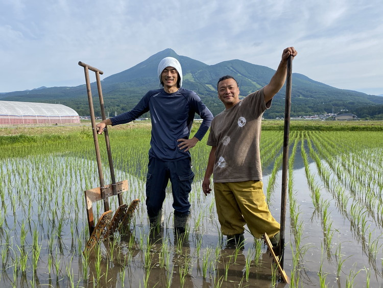 【令和7年度産 新米】 つちや農園 猪苗代町産 特別栽培米ひとめぼれ 5kg（精米）| お米 米 ひとめぼれ ※2025年11月上旬頃より順次発送予定