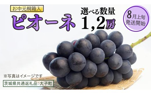 
                  【 選べる 房数 】【 お中元 桐箱入り】 ピオーネ １房 ２房 【2026年8月上旬発送開始】(茨城県共通返礼品：大子町) ブドウ ぶどう 葡萄 ピオーネ 果物 フルーツ 果実 贈答用 贈り物 ギフト プレゼント
                