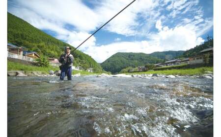 安田川 遊漁券（当日券） 高知県 馬路村 釣り 鮎