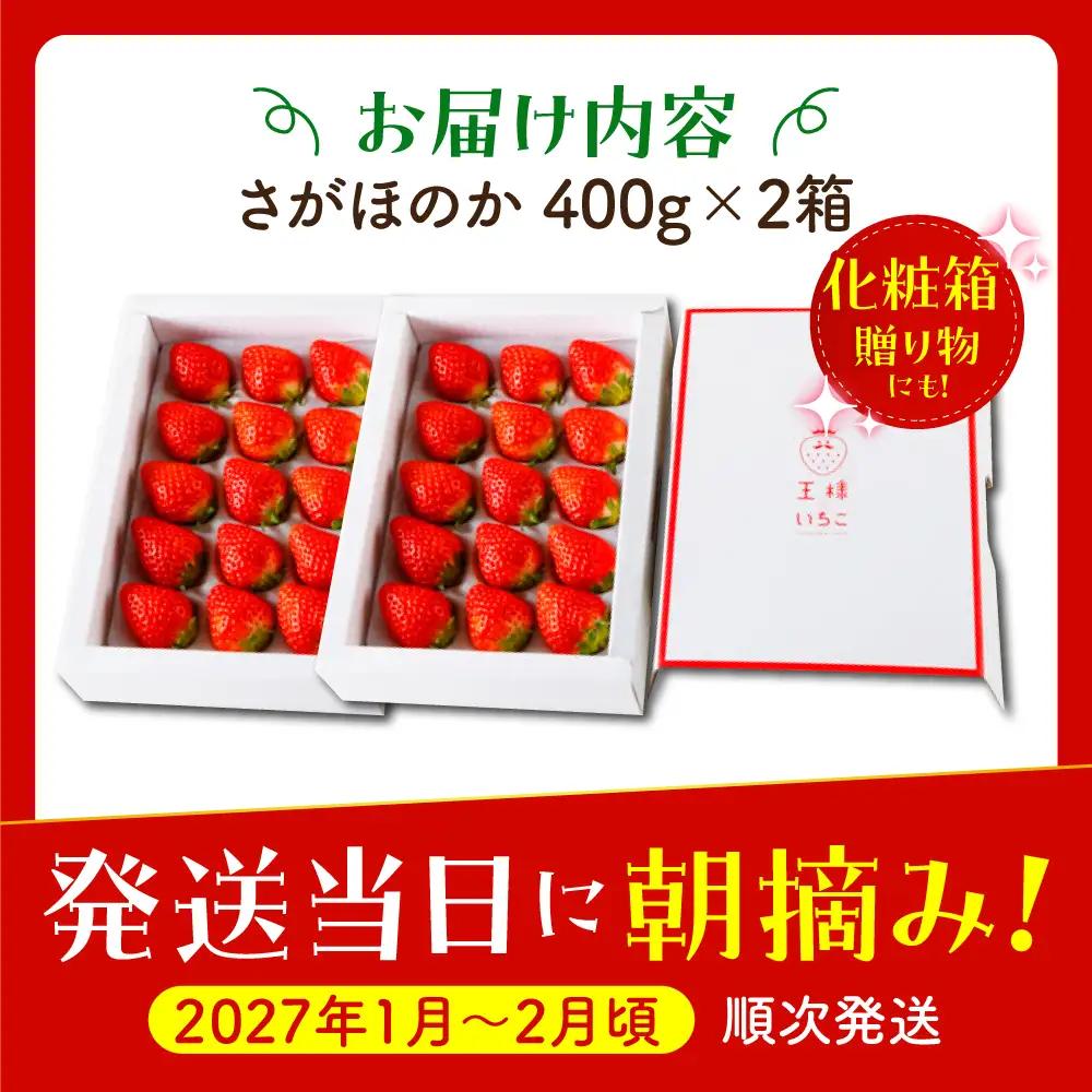 【先行予約】【1?2月発送】王様のいちごさがほのか400g×2箱 HAF010 いちご フルーツ 果物