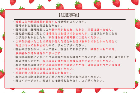 佐賀県産 いちご「かおりの」（250g×2パック）：A080-006