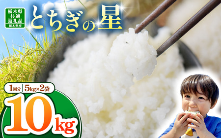 【栃木県共通返礼品】【令和7年度産】栃木県産とちぎの星 10kg | ふるさと 納税 とちぎの星 お米 精米 白米 玄米 大粒 共通返礼品 送料無料 那珂川町 栃木県