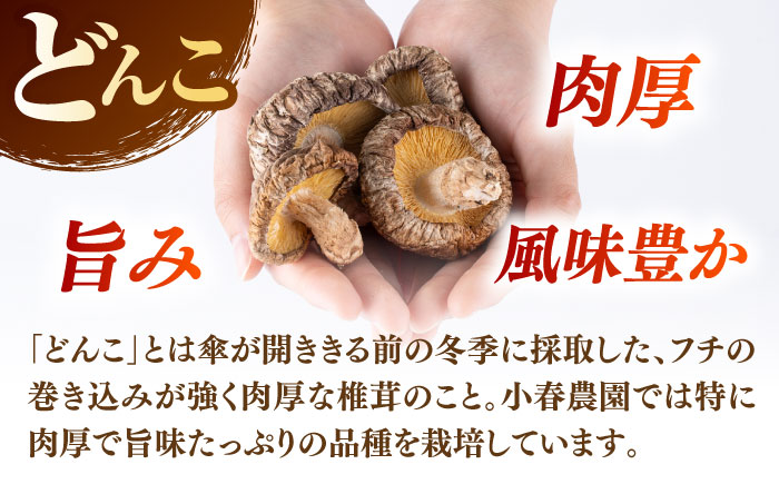 【全3回定期便】 【数量限定】 原木 栽培 干し 椎茸 どんこ セット 約460g 【小春農園】 [ZBN005]
