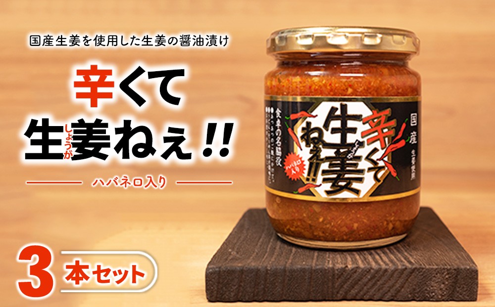 
                  辛くて生姜ねぇ!! 3本セット | しょうが 国産 醤油漬け ハバネロ ごはんのお供 お弁当 調味料 おつまみ 肴 薬味 隠し味 猪苗代町 福島県
                