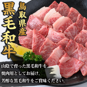 鳥取黒毛和牛ロース焼肉用(380g)国産 牛肉 黒毛和牛 ビーフ 赤身 ロース スライス 冷凍 焼肉 焼き肉 BBQ バーベキュー ギフト 贈答【sm-AP006】【いろは精肉本店】