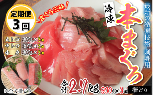 
【定期便】【3ヶ月連続お届け】 刺身用！本マグロ堪能セット（柵どり） 計 900g × 3回 【最新の冷凍技術】[J-11002]
