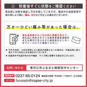 令和6年産 特秀品 「ラ・フランス」 3kg 《GI認証》 化粧箱入り サイズおまかせ 山形産 2024年産 【2024年11月中旬頃～12月末頃発送予定】　012-B-AF005