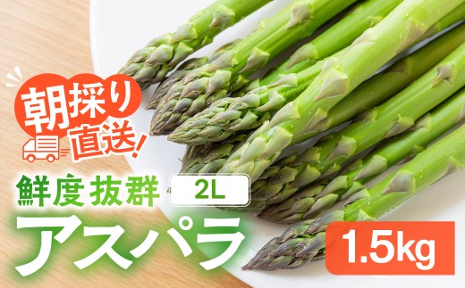 先行受付【令和9年産 2027年発送】2Lサイズ以上 ひだっこアスパラガス 1.5kg | アスパラ 野菜 やさい 産地直送アスパラガス 春 夏野菜 採れたて グリーンアスパラガス 期間限定 人気 おいしい アスパラ あすぱら アスパラガス 産直 あすぱらがす アスパラ アスパラガス 採れたて ひだっこの里 CM002VC01_27