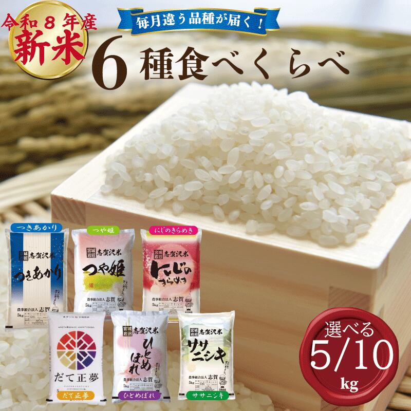 【ふるさと納税】 新米 食べ比べセット 定期便 6ヶ月 [選べる容量] おこめ 精米 ライス ごはん つきあかり つや姫 にじのきらめき だて正夢 ひとめぼれ ササニシキ セット 銘柄米 味比べ バリエーション お楽しみ 食味 毎日の食卓 毎月変わる 色々試せる 志賀沢米 岩沼産米