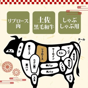 【定期便4回】土佐 黒毛 和牛 和牛定期便 しゃぶしゃぶ用 計2kg（500g×4ヶ月) | たけうちミート定期便3Xコース リブロース肉 最上位等級 A4 A5  しゃぶしゃぶ 鍋 スライス 焼肉用