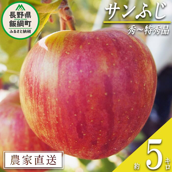 【ふるさと納税】 りんご サンふじ 秀 〜 特秀 5kg 松橋りんご園 沖縄県への配送不可 令和7年度収穫分 長野県 飯綱町 〔 信州 果物 フルーツ リンゴ 林檎 長野 17000円 予約 農家直送 〕発送時期：2025年12月上旬〜 {***}