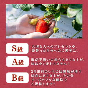 【2月より発送】あまおう 550g あまおう DNK