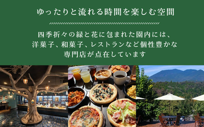 ママンカステラ / カステラ かすてら ケーキ スイーツ 洋菓子 ギフト / 恵那市 / 銀の森 [AUBG054]