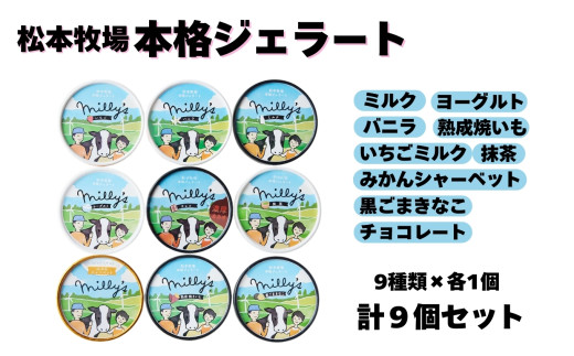 【松本牧場】本格ジェラート ミリーズ9個セット / 佐賀県 /松本アイス工房（株式会社Hamanda Dairy Farm）  [41AOAA002]