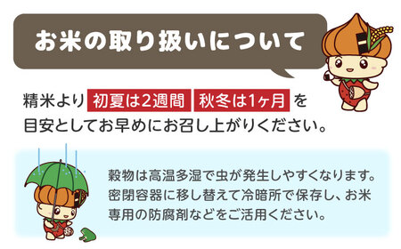 【佐賀県白石産】夢しずく 5kg【ちわたのふぁーむ】[IDE003]