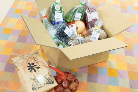 【旬のお野菜＆お米２ｋｇ詰め合わせセットＢ】農産物直売所「北はりま旬菜館」からお届け！(10-20)