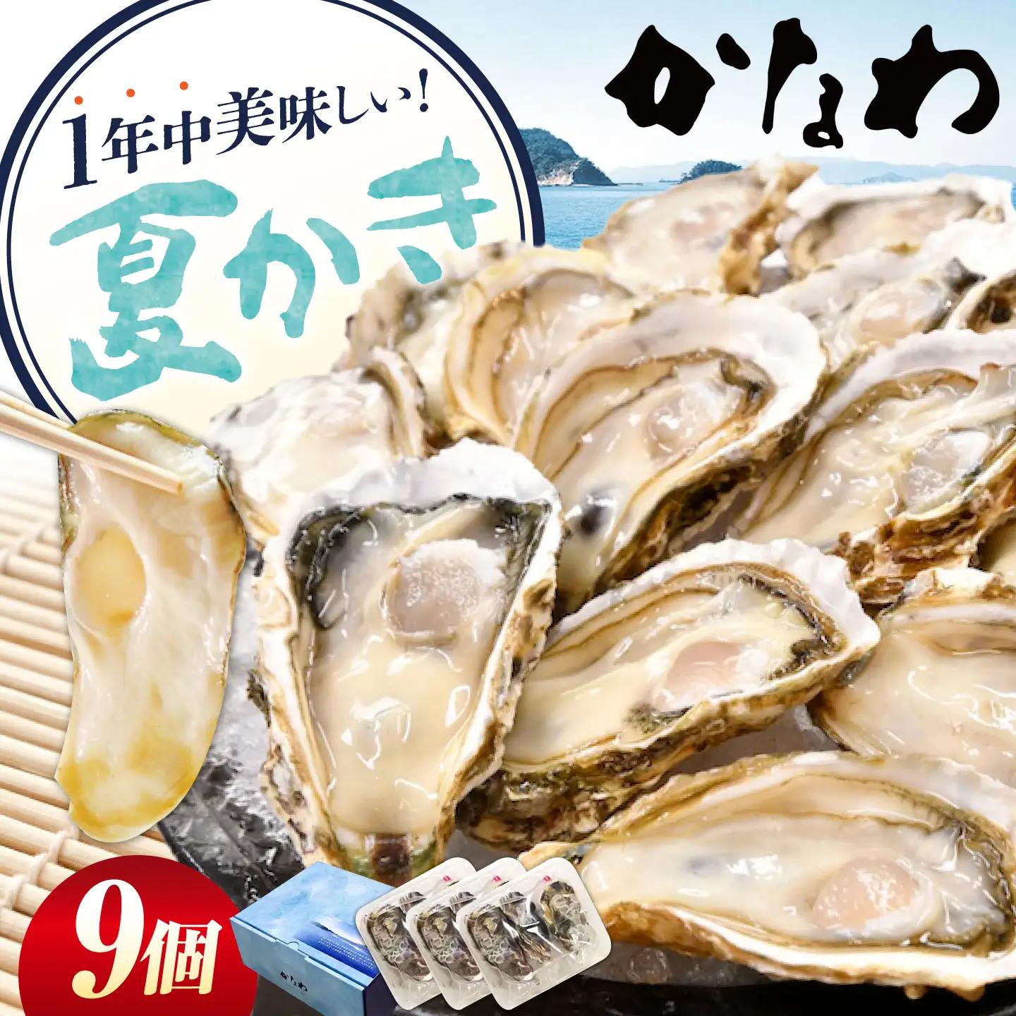 生牡蠣夏かき9個 牡蠣[XBP012]