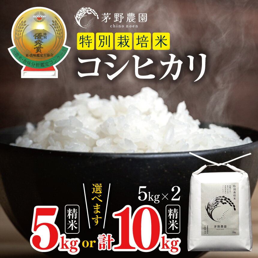 【ふるさと納税】コシヒカリ 選べる 内容量 5kg / 10kg 【令和7年度産】 | 茅野農園 米 こめ コメ お米 白米 はくまい 精米 コシヒカリ 特別栽培米 栽培米 優秀賞 金賞 長野県 松川村 信州