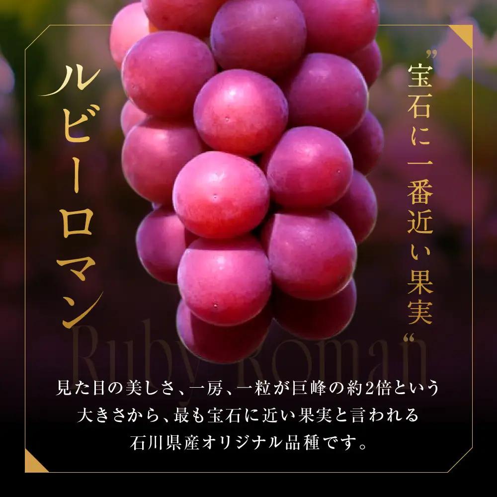 高級ぶどう ルビーロマン 600g 大粒 希少品 贈答用 ギフト お中元 夏ギフト プレゼント