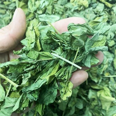 ふるさと納税 北広島町 はぶそう茶(葉だけ使用)　2g×10包 |  | 01