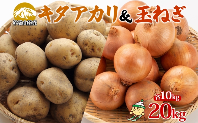 北海道産 じゃがいも キタアカリ 玉ねぎ Lサイズ 各約10kg ジ