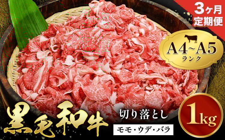 
            【3ヶ月定期便】黒毛和牛 切り落とし 小分け 1kg 定期便 A4～A5ランク 田中畜産 《お申込み翌月に出荷予定》 熊本県 苓北町 ミシュラン ビブグルマン 国産 肉 牛肉 黒毛 和牛 赤身 カレー 肉じゃが 牛丼 生姜焼き 炒めもの 煮込み 便利 使い勝手抜群 天草 産地直送 
          