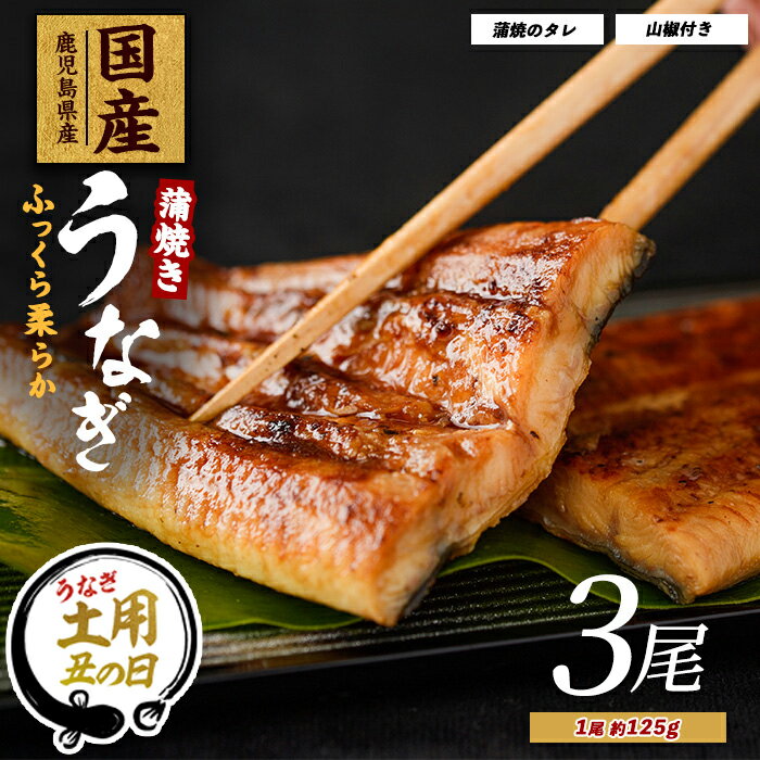 【ふるさと納税】【丑の日ギフト】7/9〜19までにお届け！(お申込みは7/13まで)【鹿児島県産】うなぎ蒲焼じっくり焼き約125g×3尾 化粧箱入り 鰻 ウナギ 蒲焼 国産 丑の日 うな重 ギフト プレゼント 贈り物 贈答 【大新】