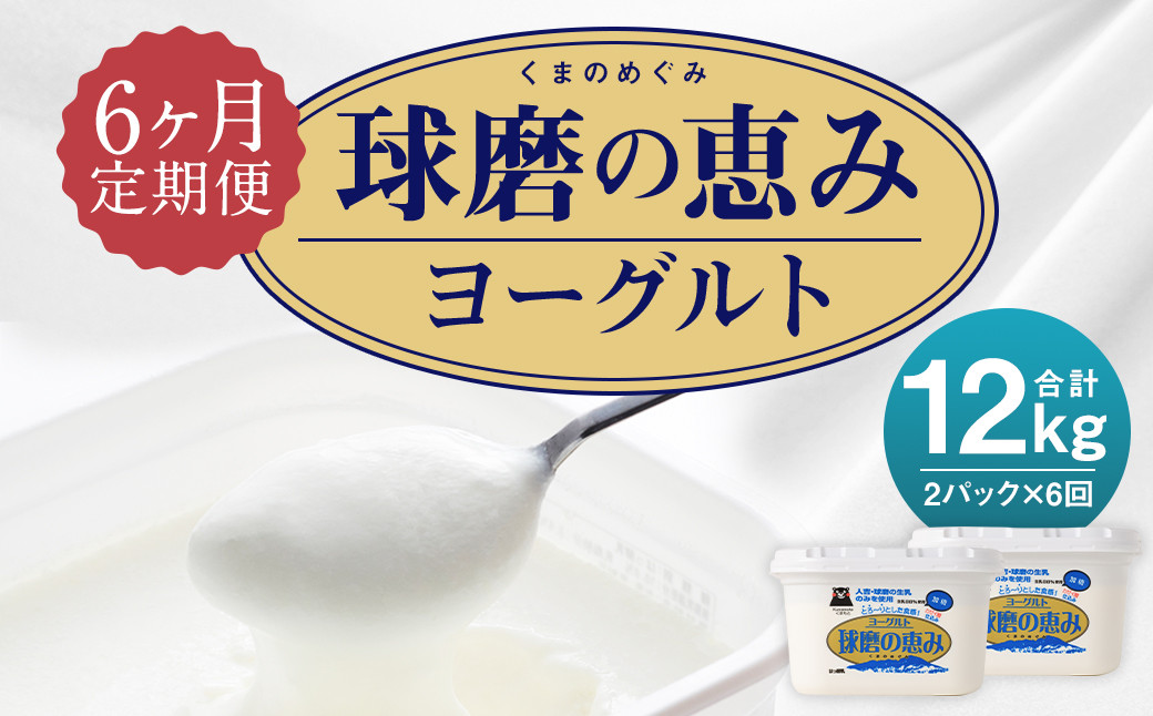 【6ヶ月定期便】球磨の恵みヨーグルト 加糖 1kg×2パック×6回  合計12kg 